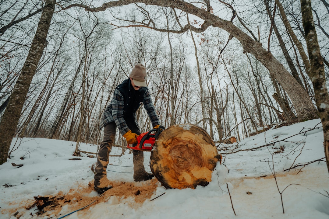 Van medisch gereedschap tot bosbouwhulp: het bijzondere verhaal van de kettingzaag