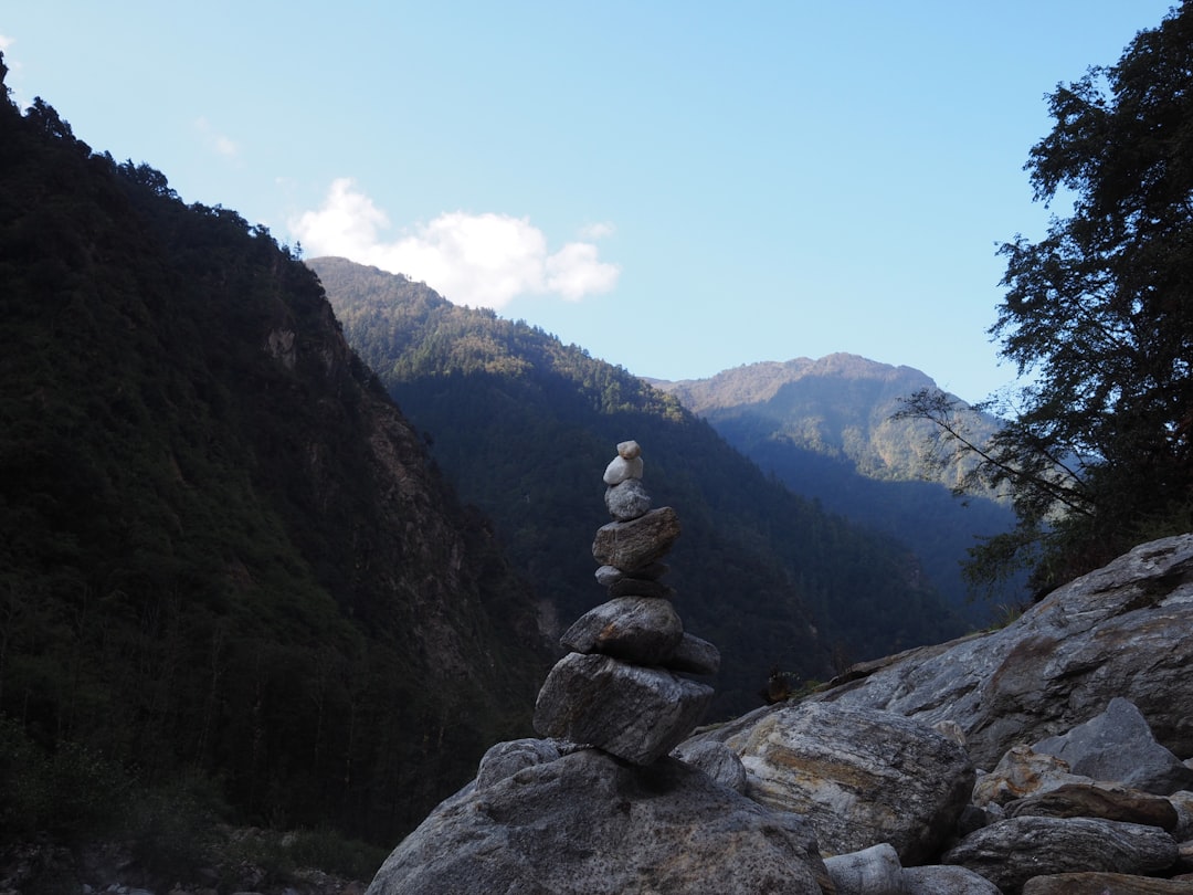 Balans: Het evenwicht in het algemeen begrip en gebruik